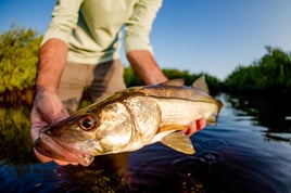 Fishing Nirvana in Boca Grande