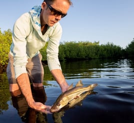 Fishing Nirvana in Boca Grande