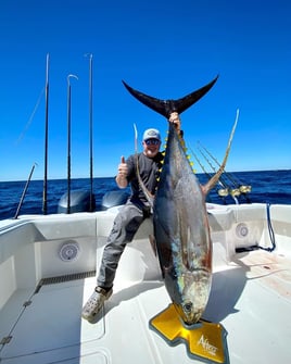 Yellowfin Tuna Fishing in Boothville-Venice, Louisiana