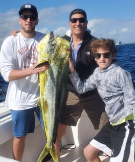 Mahi Mahi Fishing in Pompano Beach, Florida