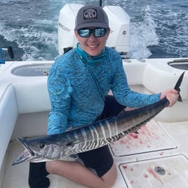 Wahoo Fishing in Pompano Beach, Florida