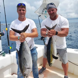 Blackfin Tuna, Yellowfin Tuna Fishing in Pompano Beach, Florida