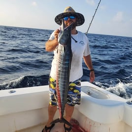 Wahoo Fishing in Pompano Beach, Florida