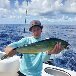 Mahi Mahi Fishing in Pompano Beach, Florida