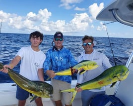 Mahi Mahi Fishing in Pompano Beach, Florida