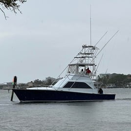 Nearshore Reefs and Wrecks