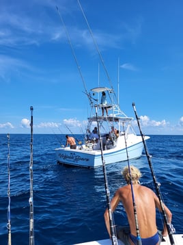 Full Day Bottomfishing Slam