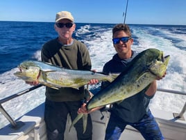 Mahi Mahi Fishing in West Palm Beach, Florida