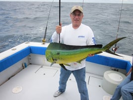 Mahi Mahi Fishing in West Palm Beach, Florida