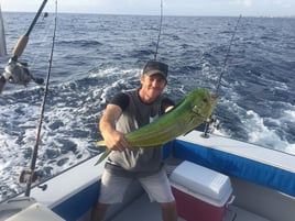 Mahi Mahi Fishing in West Palm Beach, Florida