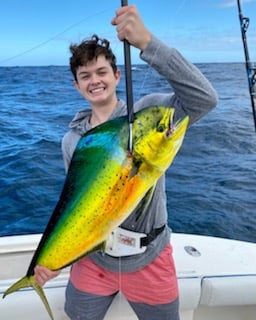 Mahi Mahi Fishing in Riviera Beach, Florida