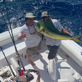 Mahi Mahi Fishing in Pompano Beach, Florida