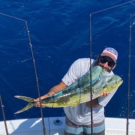 Mahi Mahi Fishing in Pompano Beach, Florida