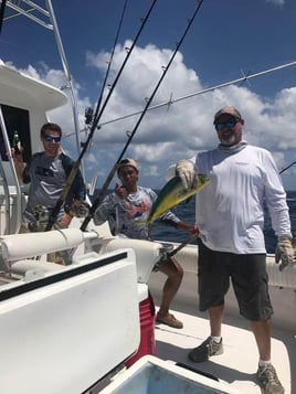 Mahi Mahi Fishing in Pompano Beach, Florida