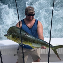 Mahi Mahi Fishing in Pompano Beach, Florida