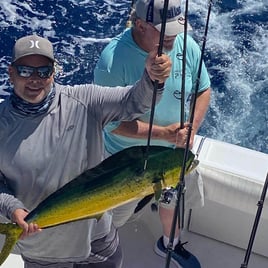 Mahi Mahi Fishing in Pompano Beach, Florida