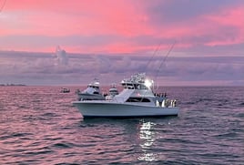 Epic Summer Sportfishing