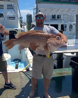 Destin Trolling & Bottom Fishing