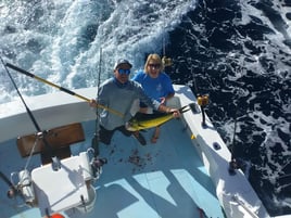 Mahi Mahi Fishing in Riviera Beach, Florida