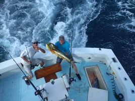 Mahi Mahi Fishing in Riviera Beach, Florida