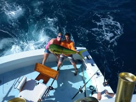 Mahi Mahi Fishing in Riviera Beach, Florida