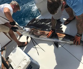 Full Day Offshore Fishing Trip