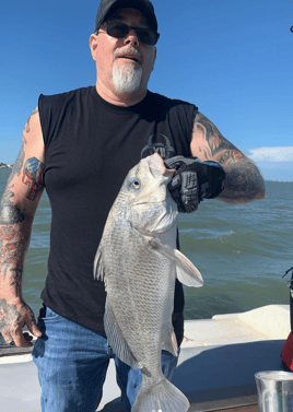 Black Drum Fishing in Corpus Christi, Texas