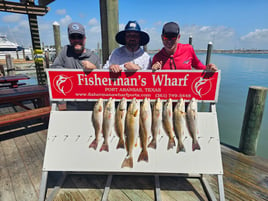 Coastal Bend Inshore Slam