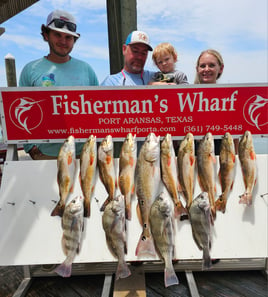 Coastal Bend Inshore Slam