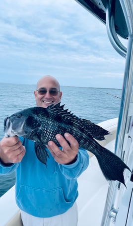 Cape Cod Black Seabass and More