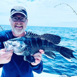 Cape Cod Black Seabass and More