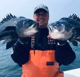 Cape Cod Black Seabass and More