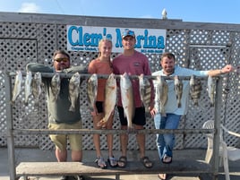 Black Drum, Redfish, Speckled Trout Fishing in Corpus Christi, Texas