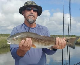 Redfish Fishing in St. Augustine, Florida