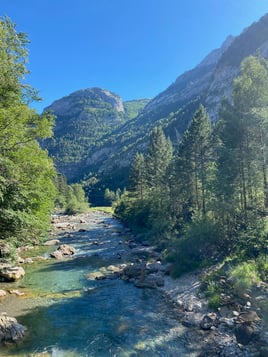 Epic Spanish Pyrenees Fly Fishing