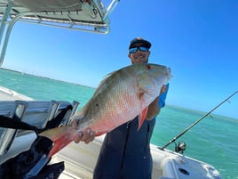 Dry Tortugas Trip