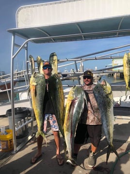 Mahi Mahi Fishing in St. Augustine, Florida