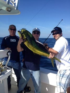 Mahi Mahi Fishing in St. Augustine, Florida