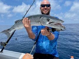 Barracuda Fishing in St. Augustine, Florida