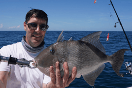 Triggerfish Fishing in St. Augustine, Florida