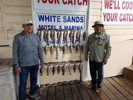 Mangrove Snapper, Speckled Trout Fishing in Port Isabel, Texas