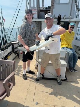 Blacktip Shark Fishing in Morehead City, North Carolina