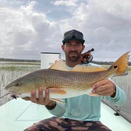 Redfish Fishing in St. Augustine, Florida