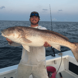 Inshore Trolling Trip