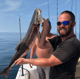 Cobia Fishing in St. Augustine, Florida