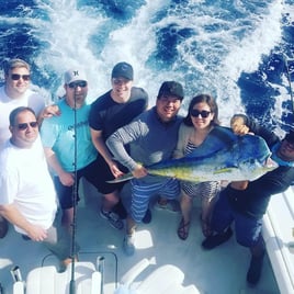 Mahi Mahi Fishing in Pompano Beach, Florida