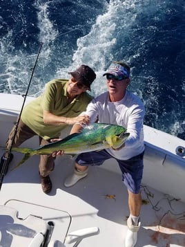 Kingfish Fishing in Pompano Beach, Florida