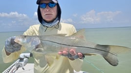 Everglades Inshore Trip