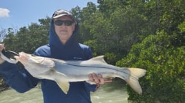 Everglades Inshore Trip