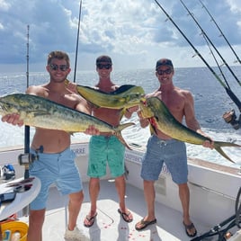 Mahi Mahi Fishing in Miami, Florida